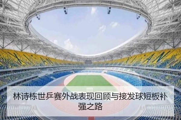 林诗栋世乒赛外战表现回顾与接发球短板补强之路